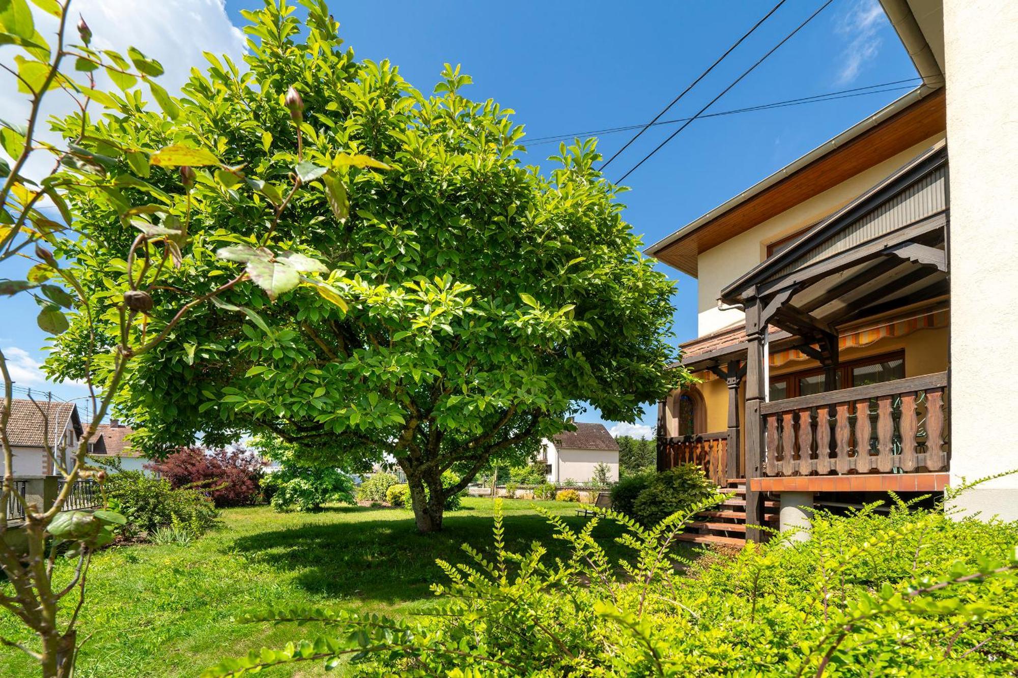 La Clef Des Songes Bed & Breakfast Merzmuhler Exterior foto