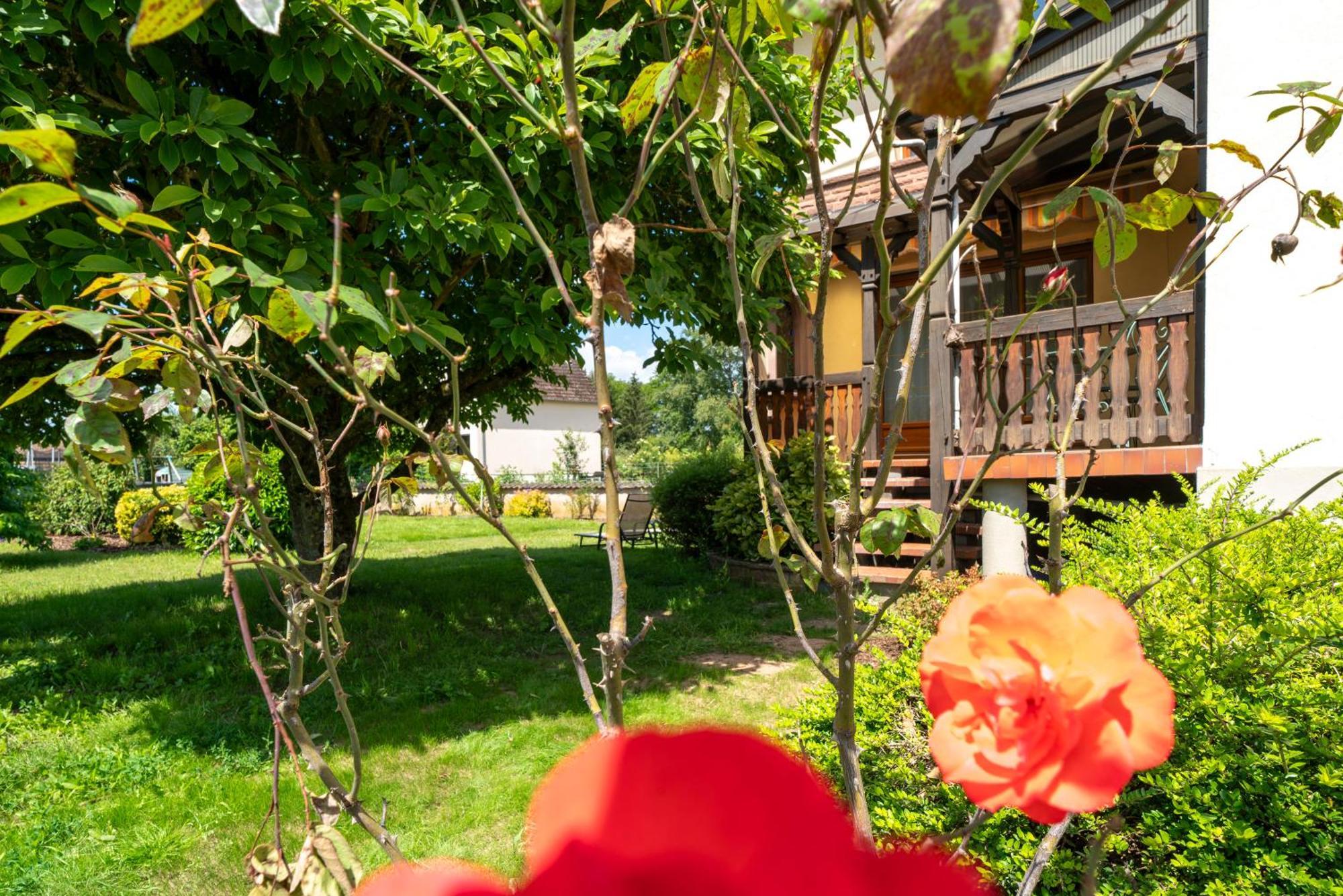 La Clef Des Songes Bed & Breakfast Merzmuhler Exterior foto