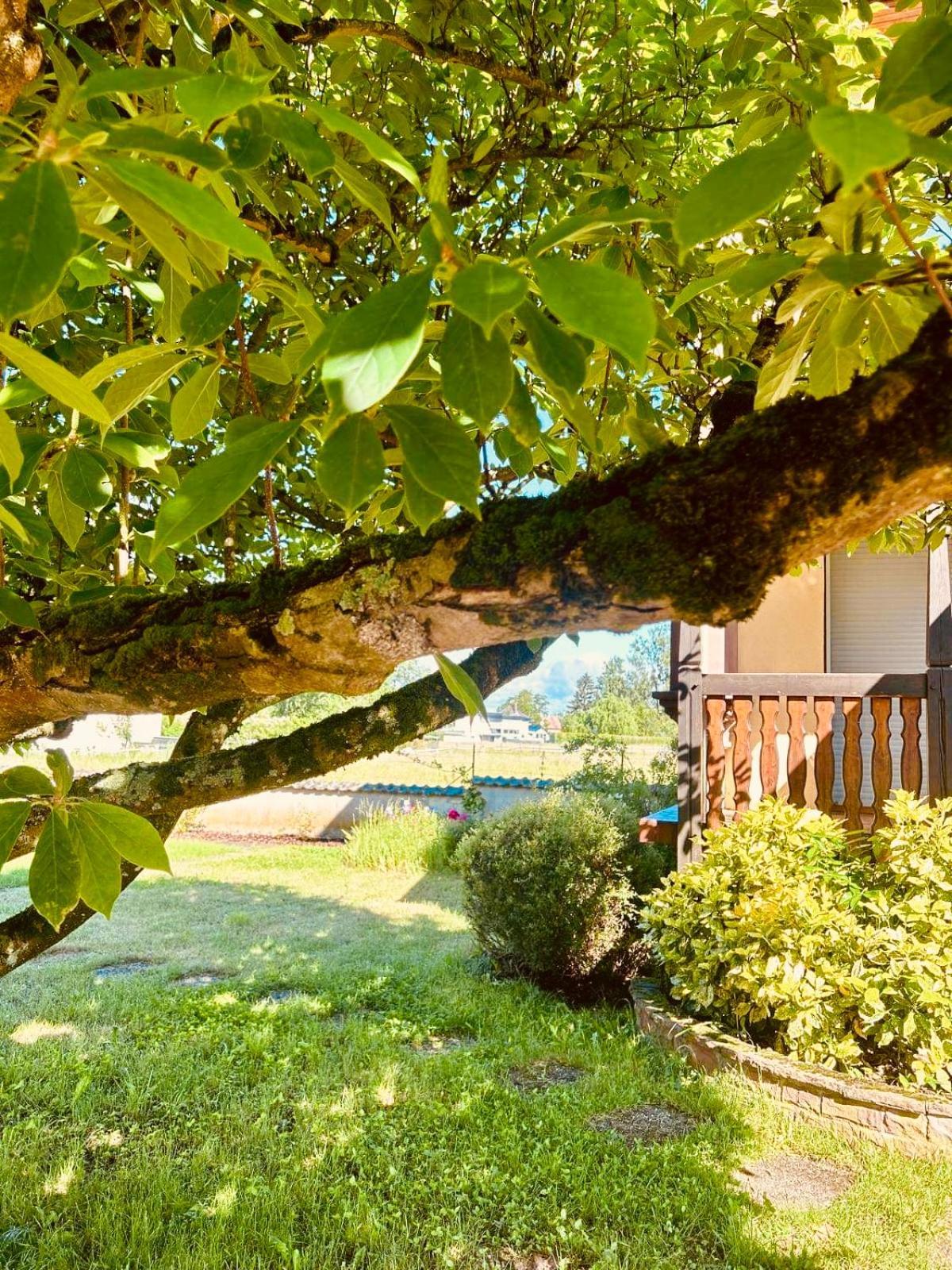 La Clef Des Songes Bed & Breakfast Merzmuhler Exterior foto